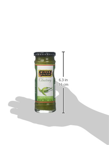 Mirch Masala Green Chilli Chutney - Thumbnail 3