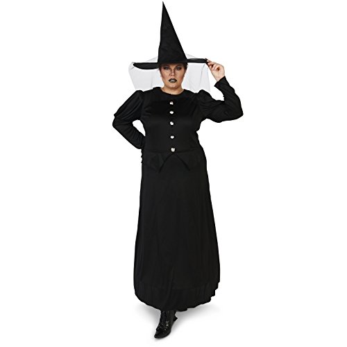 Wicked Witch Adult Plus Costume