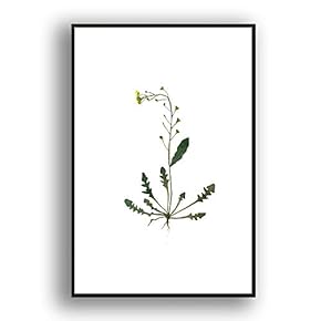 Framed Canvas Wall Art for Living Room, Bedroom Leaves Canvas Prints for Modern Home Decoration Ready to Hang - 16"x24" inches