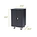 Pearington 12-Device Mobile Charging and Storage Cart for iPads, Tablets and Laptops Computers, Up to 16-inch Screen Size, Surge Protection, Front & Back Access Locking Cabinet, Black
