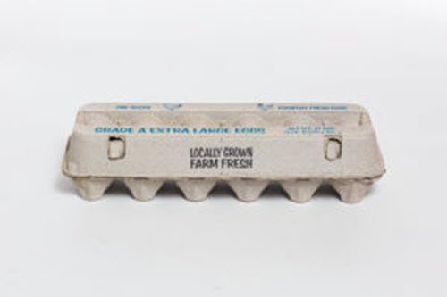 Pulp One Dozen EXTRA LARGE Cartons - 125 pcs