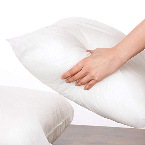 Calibrate Timing 18 x 18 Pillow Inserts Outdoor, Water Resistant