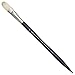 Winsor & Newton Artists' Oil Hog Paint Brush, Long Handle Size 10, Filbert