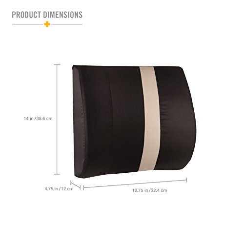 HealthSmart Vivi Relax-A-Bac Premium Lumbar Back Support Cushion Pillow with Insert and Strap, Black/Tan Stripe