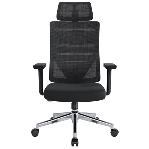 Eucladoceros M16 Ergonomic Office Chair, Desk Chair with 3-Stage Tilt Lock, Headrest, 3D Armrests and Lumbar Support, Computer Chair & Gaming Chair, Mesh Swivel Home Office Chair, Black