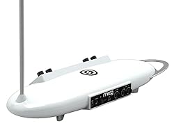 Moog Theremini Bundle with Gig