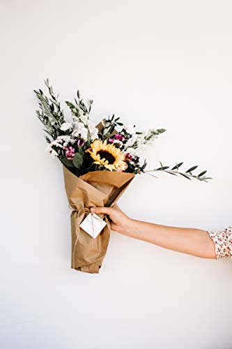 Note Card Cafe Brown Kraft Paper Jumbo Roll | 30 x 1200 in (100ft) | Biodegradable | Great for Craft Projects, Gifts, Tablecloth, Floor Covering, Packing, Moving, Shipping, Postal, Dunnage, Parcel
