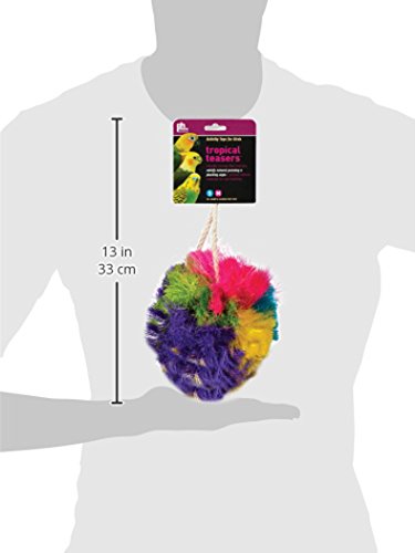 Prevue Pet Products Tropical Teasers Krusty Bird Toy, Multicolor