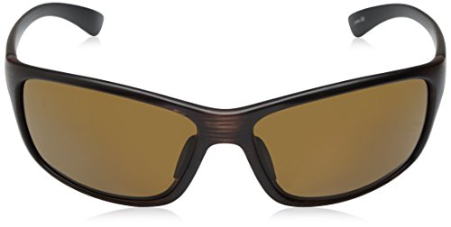 Suncloud Sentry Sunglasses, Burnished Brown Frame/Brown Polycarbonate Lens, One Size