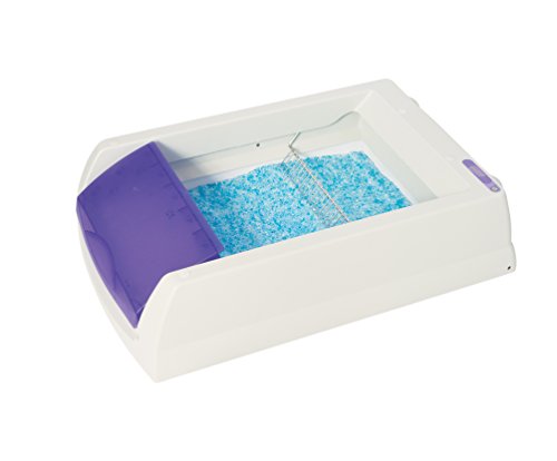 PetSafe ScoopFree Crystal Cat Litter & Refill Tray with Lid, Fresh Scent, 4.3 Lb Bag with Each Tray, Pack of 3