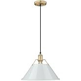 Golden Lighting 3306-L BCB-DB Orwell - 1 Light Large Pendant-10 Inches Tall and 14 Inches Wide, Finish Color: Brushed Champag