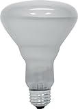 GE 20330-6 45 Watt Floodlight BR30 Light Bulb, Soft White, 6-Pack