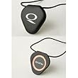 Q-Link image