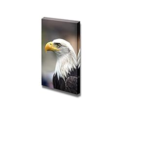 Canvas Prints Wall Art - A Beautiful American White-Headed Eagle - 18" x 12"