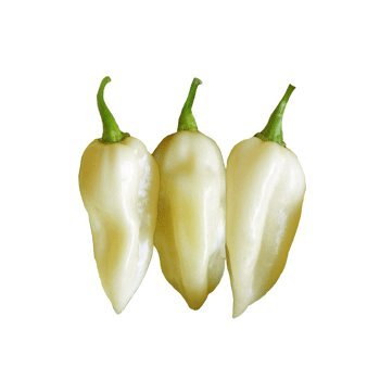 White Bhut Jolokia Ghost Pepper - 10 Seeds - 1,000,000 Scoville - non-GMO White Bhut Jolokia Ghost Pepper - 10 Seeds - 1,000,000 Scoville - non-GMO
