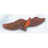 Jackite Assembled Cardinal Bird Kite, Wind Sock