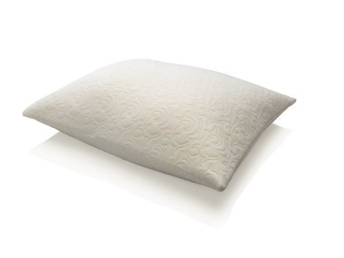 Tempur Pedic Comfort Pillow Queen Size B000i874q2 Amazon Price
