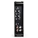 Polk Audio PA D2000.2 (PAD2000.2) 500W RMS PA D Series Class-D 2-Channel Car Amplifier, Color