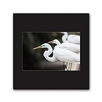 Framed Canvas Wall Art A Bird Standing on Canvas Prints Home Artwork Decoration for Living Room,Bedroom - 16x16 inches