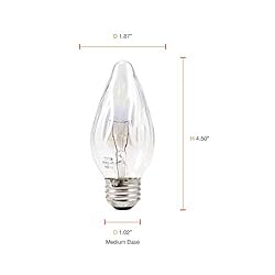 SYLVANIA Incandescent Décor Light