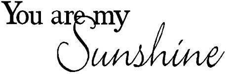 Byyoursidedecal You are My Sunshine Vinyl Wall Decal,Art Quotes Inspirational Sayings 7" high x 22" Wide