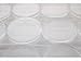Guardhouse Large Dollar 38mm Direct Fit Coin Capsules 50 pack