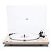 U-Turn Audio – Orbit Special Turntable with Built-in preamp (Maple)thumb 4