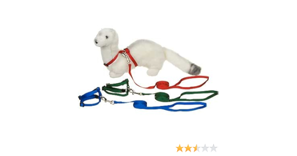 hamster harness petco