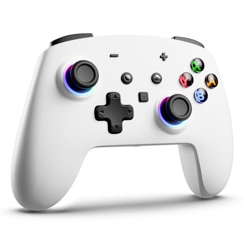 ECHTPower 2026 Mando para Switch 2, Hall Joysticks, Despertar de Switch 2 / NS1, Turbo, Botones Traseros, Luz RGB, Vibración y Giroscopio, Mando Pro Inalámbrico para Switch 2/1/PC/iOS/Android