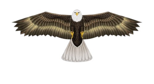 X-Kites Birds of Prey Nylon Eagle Kite-48 Inch Wingspan