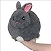 Squishable / Mini Netherland Dwarf Bunny 7