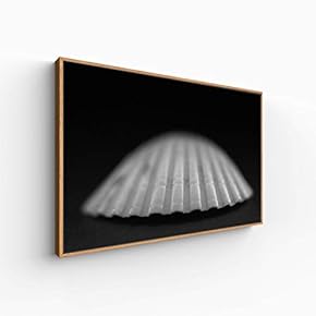 Canvas Wall Art for Living Room, Bedroom Animal Portrait Framed Canvas Prints for Home Decoration Ready to Hang - 16x24 inches
