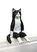 Kitan Club - Sitting Cat Plastic Toy - Blind Box Includes 1 of 6 Collectable Figurines - Fun, Versatile Decoration - Authentic Japanese Design - Made from Durable Plastic