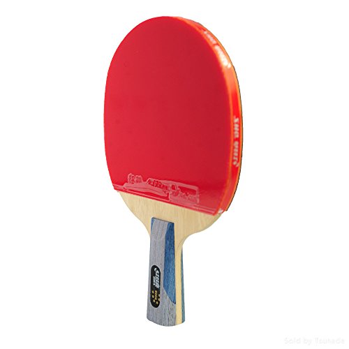 DHS Ping Pong Table Tennis Racket Paddle Bat 6 Star Penhold Short Handle Double Pimples-in Bat 6006