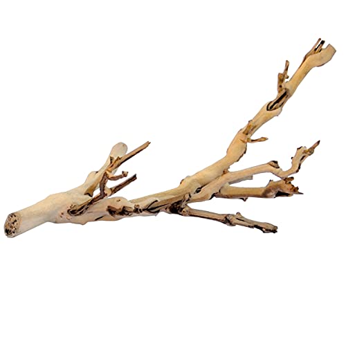 Exo Terra Forest Branch