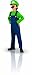 Super Mario Brothers, Luigi Costume, Small