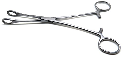 Foerster Sponge Forceps 8" Straight Serrated Surgical Holding Veterinary Instruments
