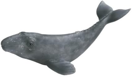 small yorkies for adoption