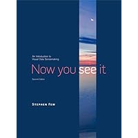 Now You See It: An Introduction to Visual Data Sensemaking