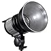 CowboyStudio Single 1000w Continuous Video Light Quartz/Halogen Light for Chromakey Green Screen