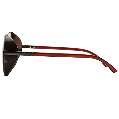 Dollger Steampunk Vintage Retro Sunglasses Metal Circle Frame (Brown Lens+Brown Frame, 100% UV Protection Lens)