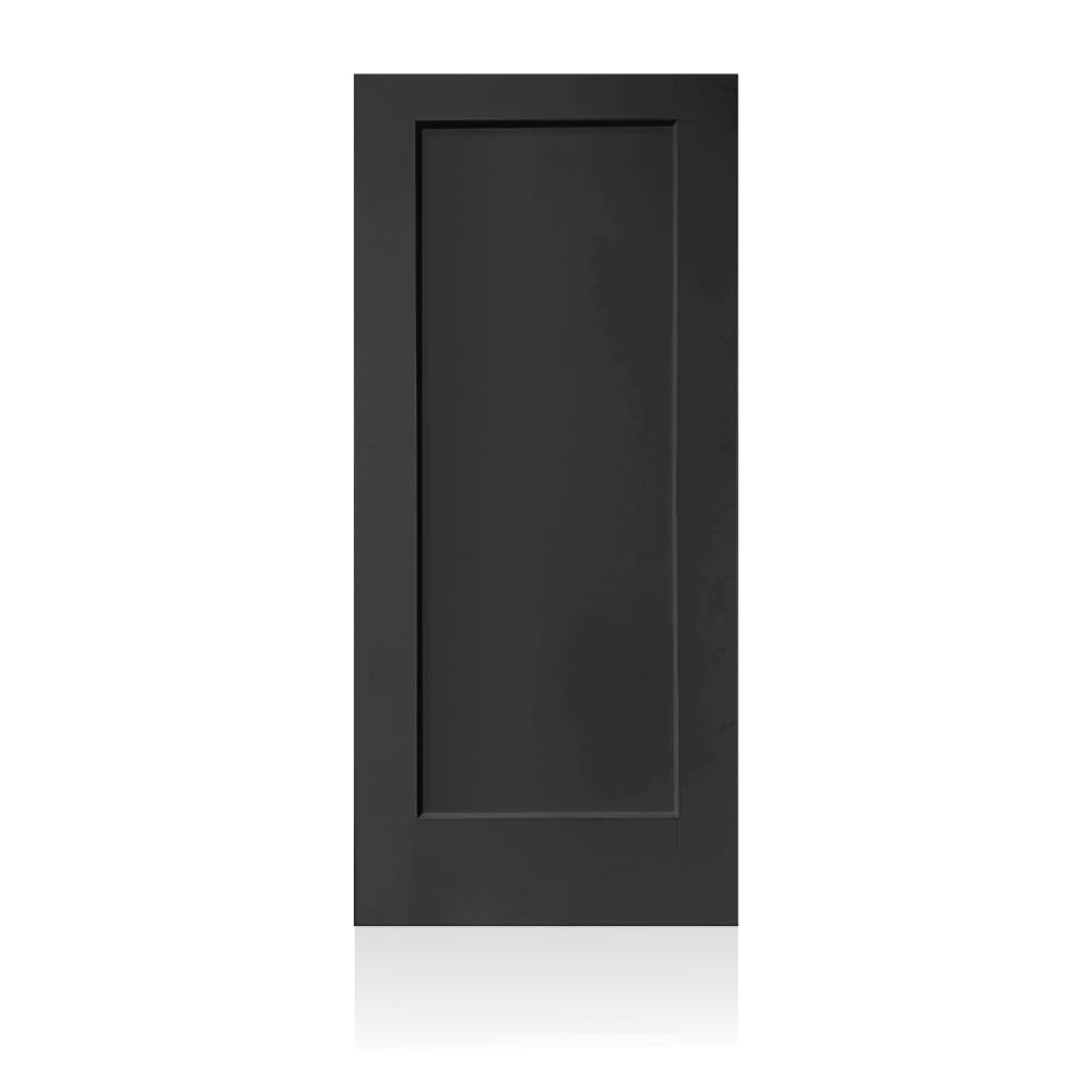 Photo 1 of 30 in. x 80 in. 1 Panel Hollow Core Black Painted Composite Interior Door Slab