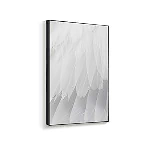 NWT Framed Canvas Wall Art for Living Room,...