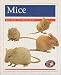 Mice (X6) PM Orange Animal Facts Pets: Orange Level - Clive Harper, Beverley Randell