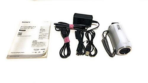 SONY Digital HD Camcorder Recorder HDR-CX390-W Premium White | eBay