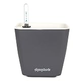 Aquaphoric Self Watering Planter (5") + Fiber Soil = Foolproof Indoor Home Garden. Decorative Planter Pot for All Plants, Flowers, Herbs, African (Charcoal Matte)