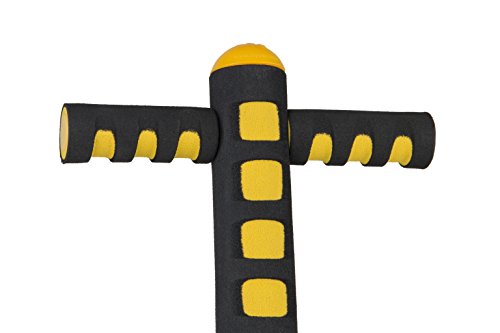 Flybar Foam Maverick Pogo Stick