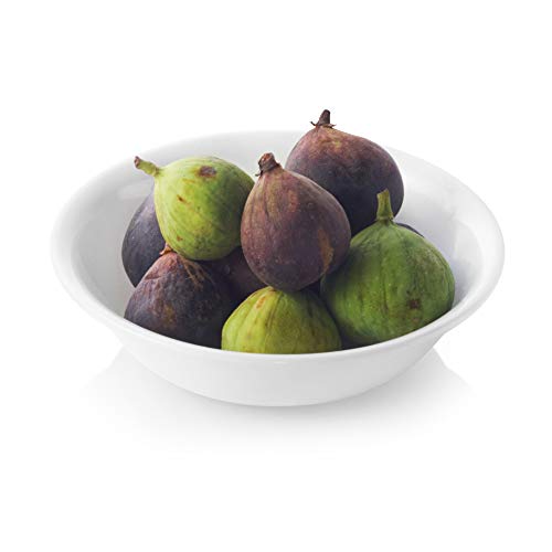 Corelle Livingware 10Ounce Dessert Bowl, Winter Frost White The Home