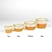 Fit Meal Prep 250 Pack 2 oz Jello Shot Cups with Lids, Disposable Souffle Portion Cups for Sauce