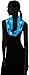 FOCO Carolina Panthers 2016 Team Logo Infinity Scarf
